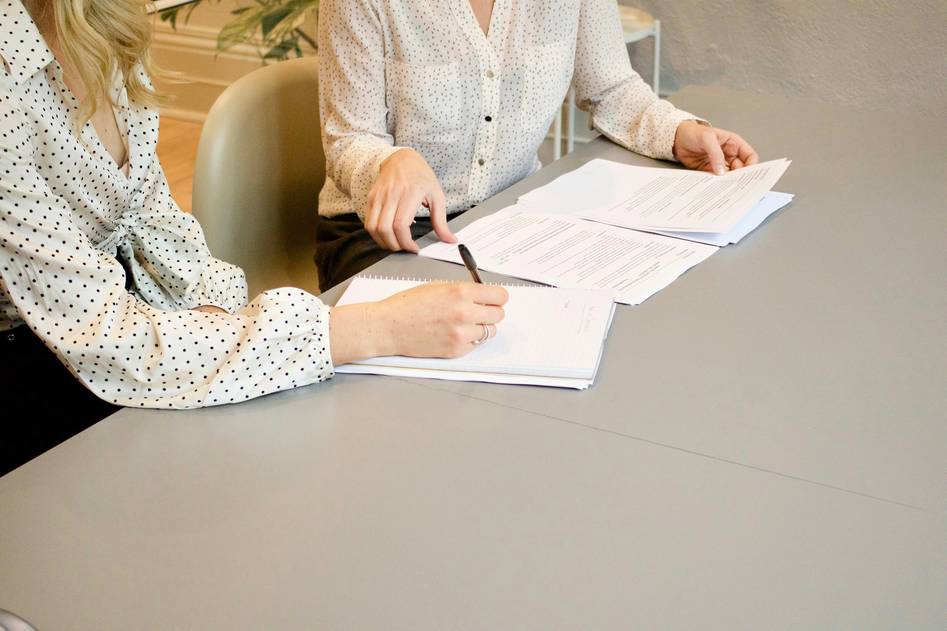 Blog authors reviewing pet insurance documents at a calm desk