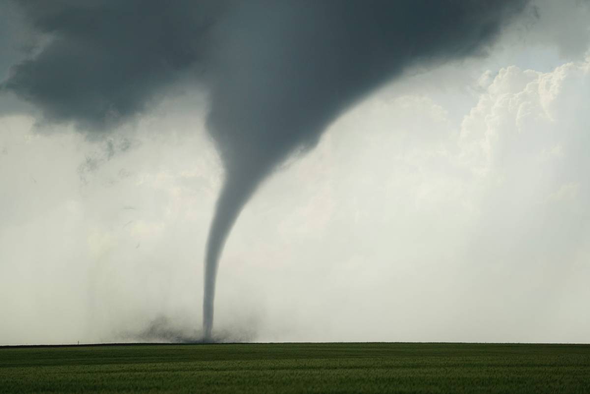 How Pet Injury Claim Ratings Reveal the Truth About Tornado Insurance Payouts
