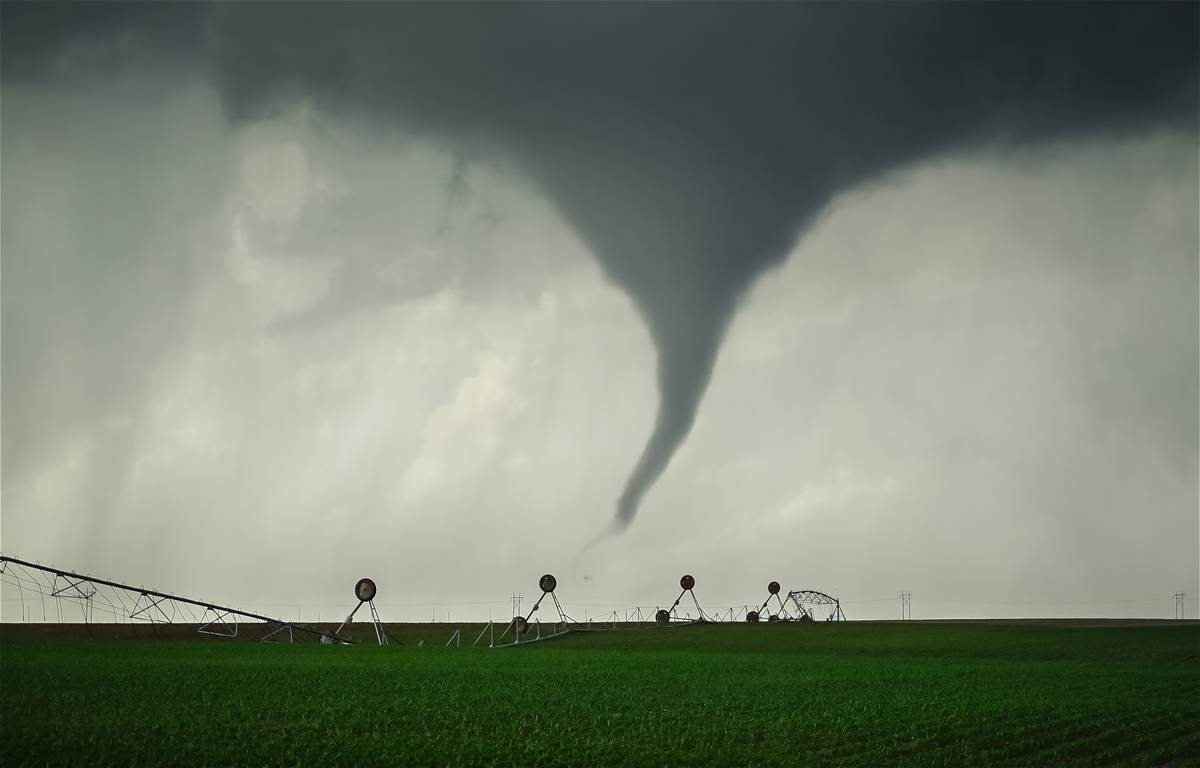 Emergency Vet Tornado Reviews: What Pet Owners in Disaster Zones Must Know