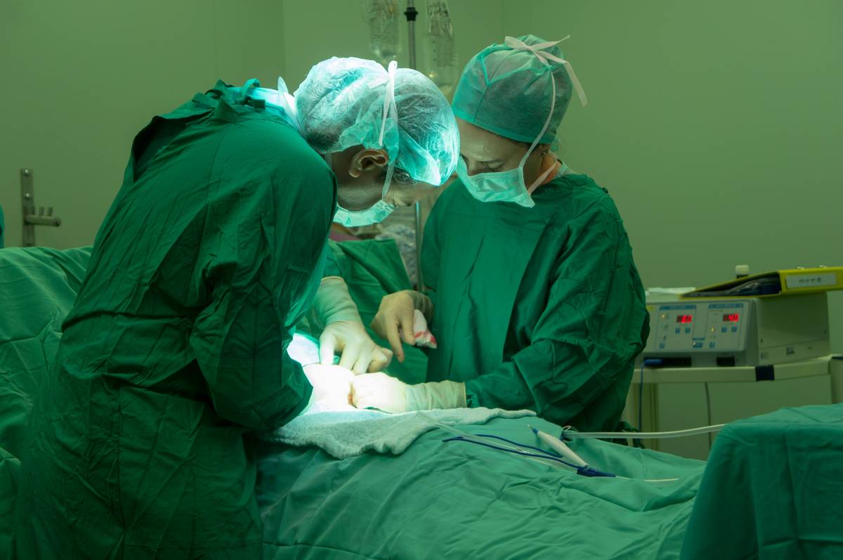 Emergency vet tornado ratings: A veterinarian treating a dog in a dimly lit clinic with backup lighting during a simulated tornado drill